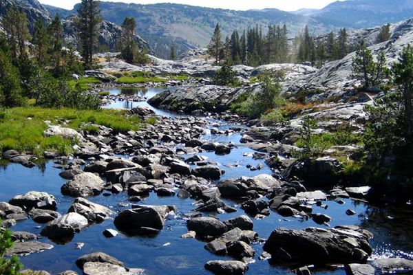 Future Climate, Wildfire, Hydrology, and Vegetation Projections for the Sierra Nevada, California