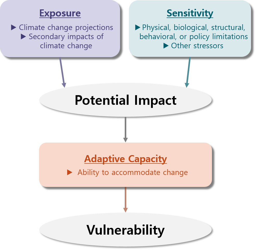 exposure sensitivity adaptability